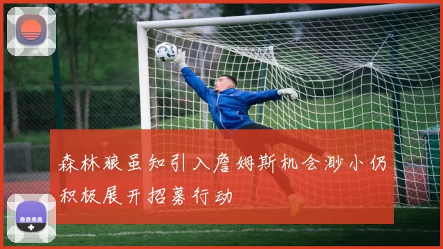 森林狼虽知引入詹姆斯机会渺小仍积极展开招募行动