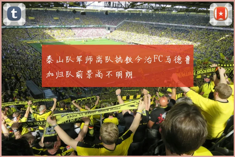 泰山队军师离队执教今治FC马德鲁加归队前景尚不明朗